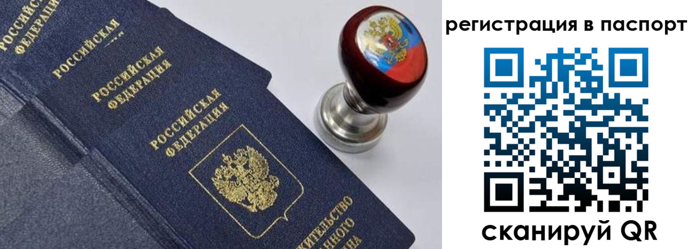 прописка поиск в Павлово